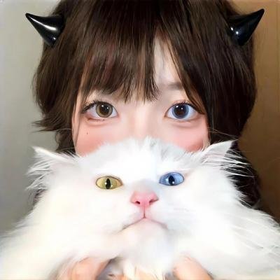方案